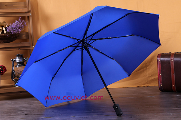 mẫu ô dù màu xanh dương cầm tay